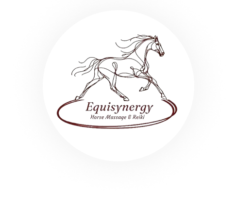 Equisynergy
