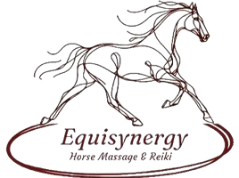 Equisynergy