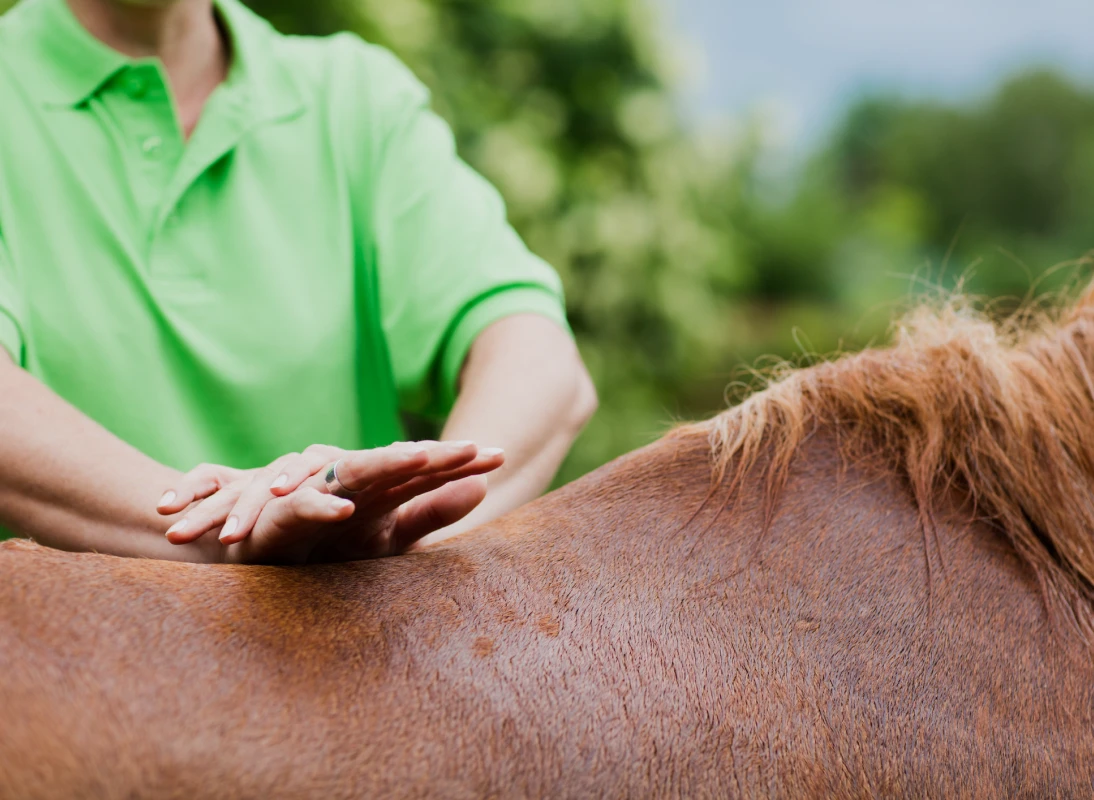 Person performing therapy on a horse